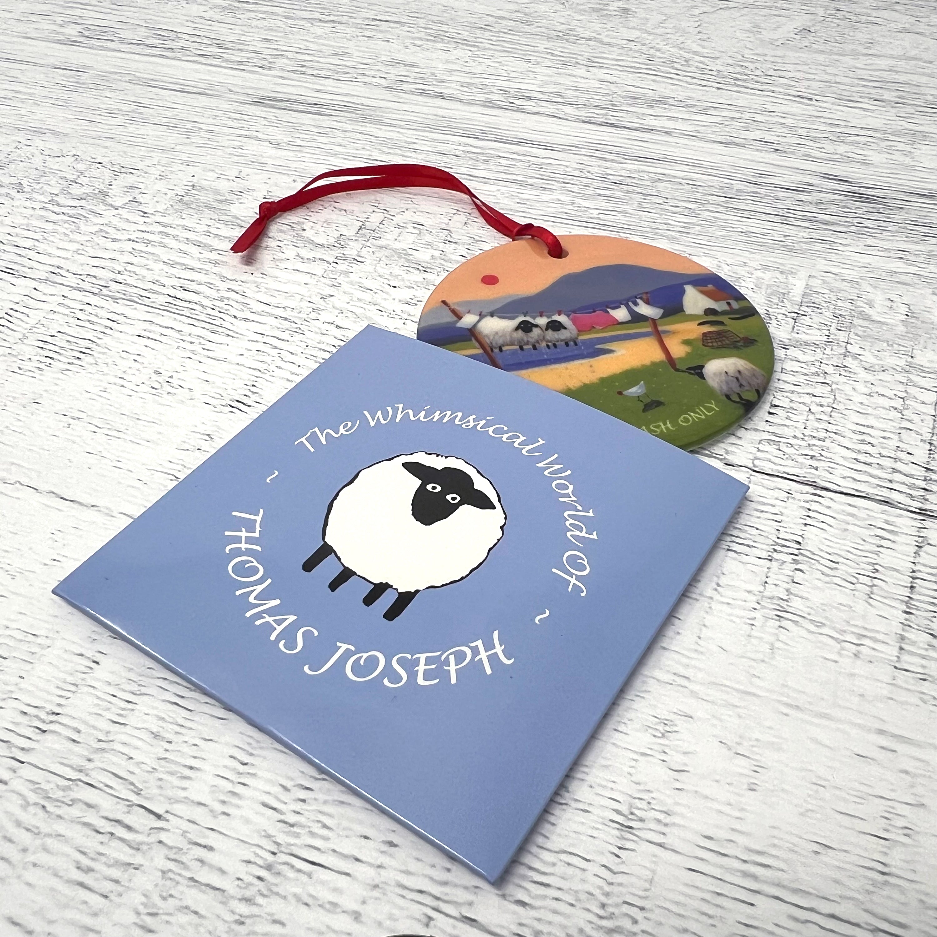 Hand Wash Only Decorative Hanging Disk