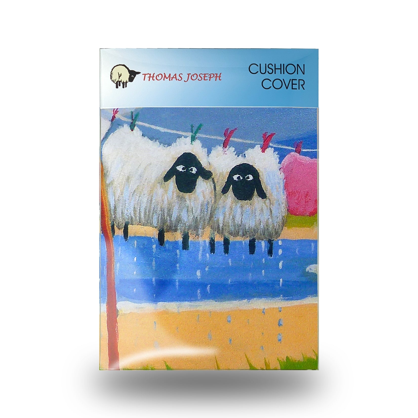 Hand Wash Only Cushion Cover