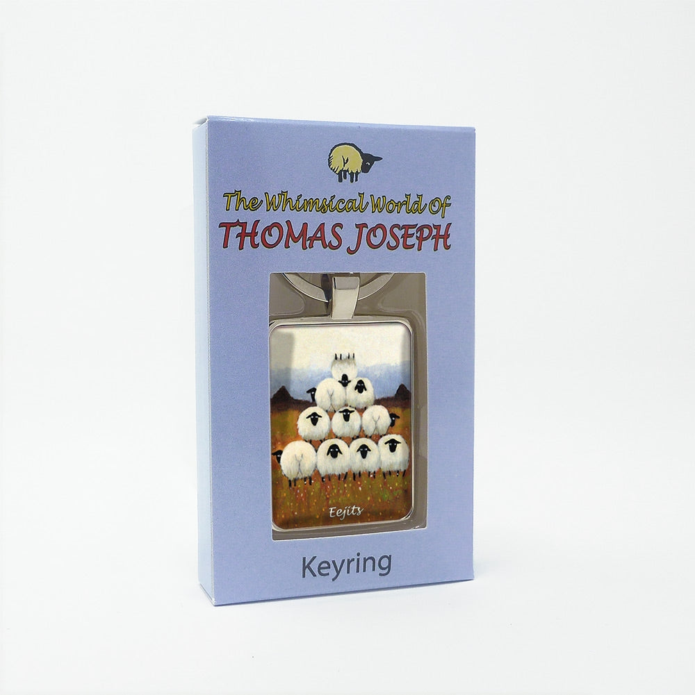 Eejits Keyring Keychain Gift by Thomas Joseph