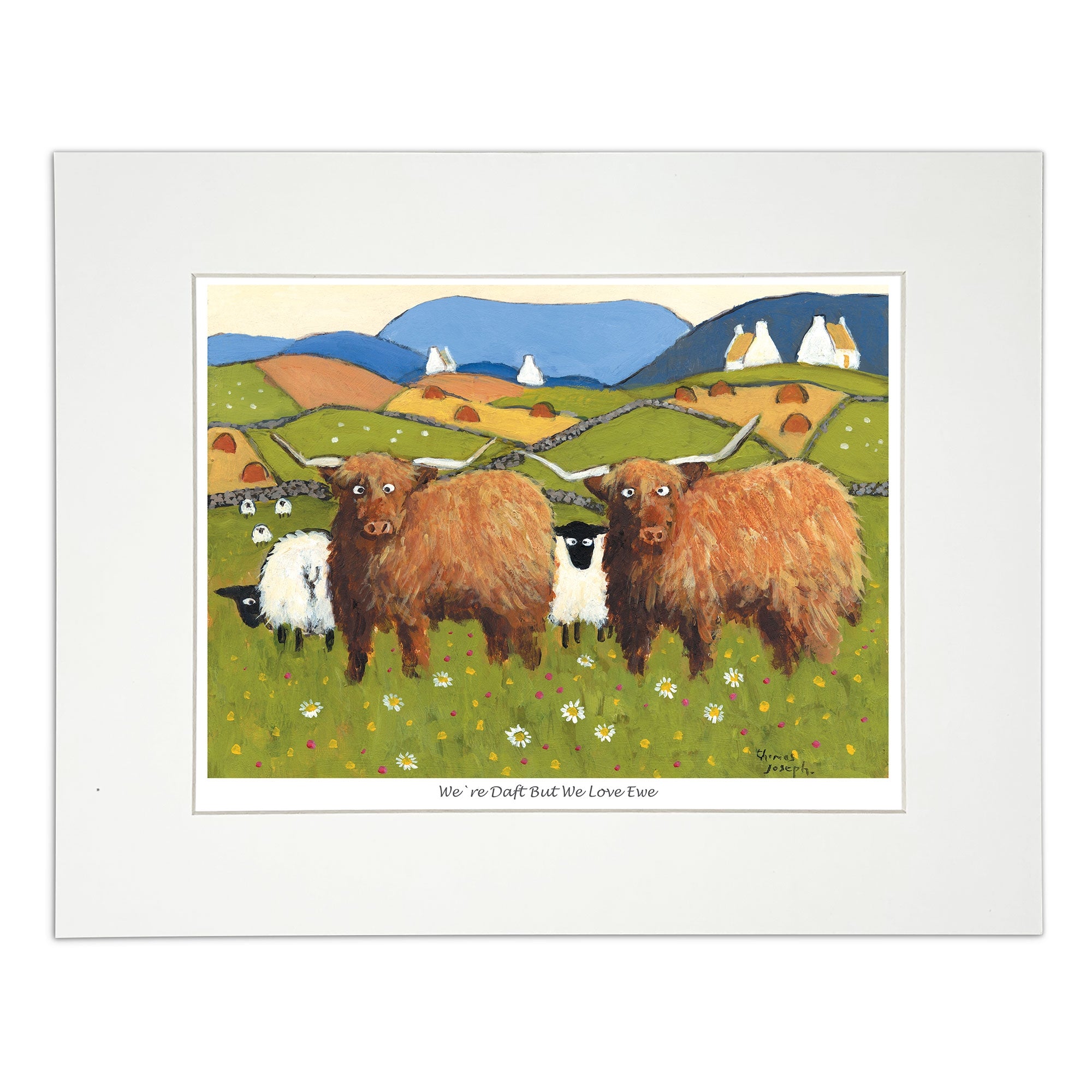 sheep squeezing between massive cows