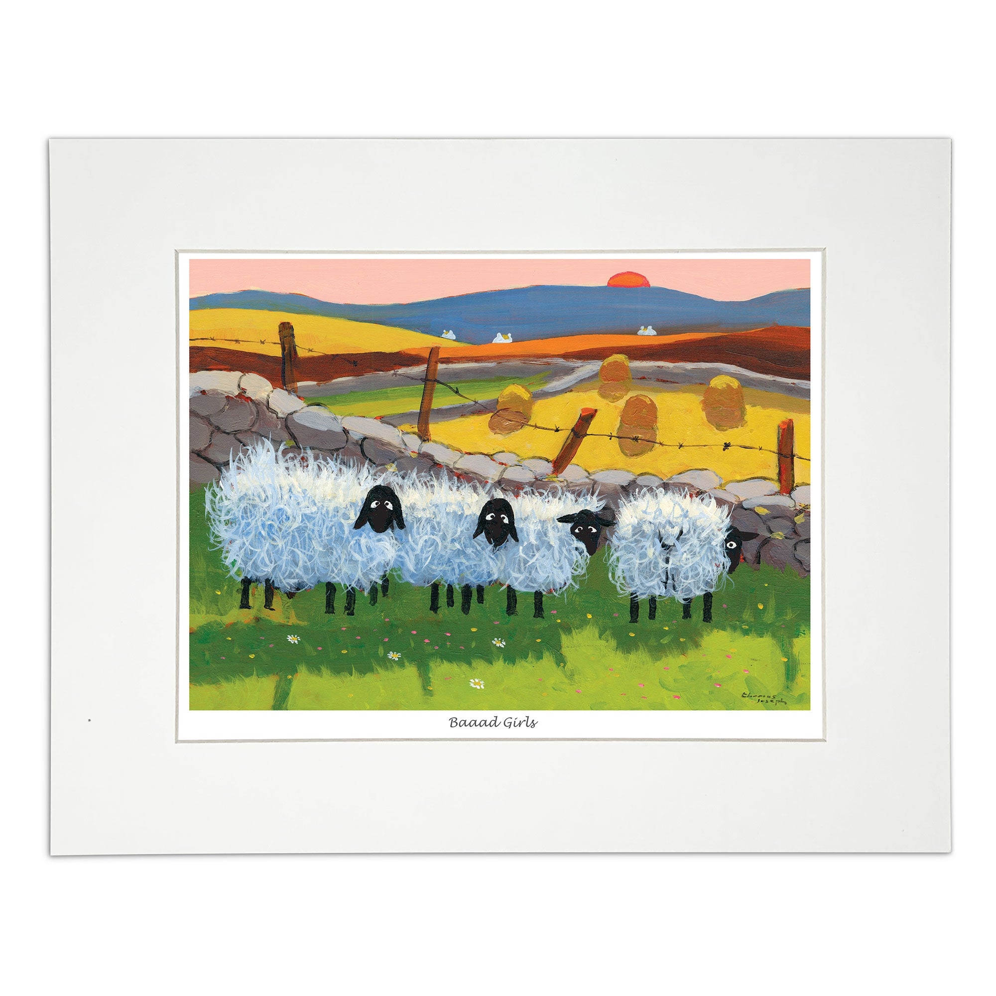 Painting sheep having a very bad hair day