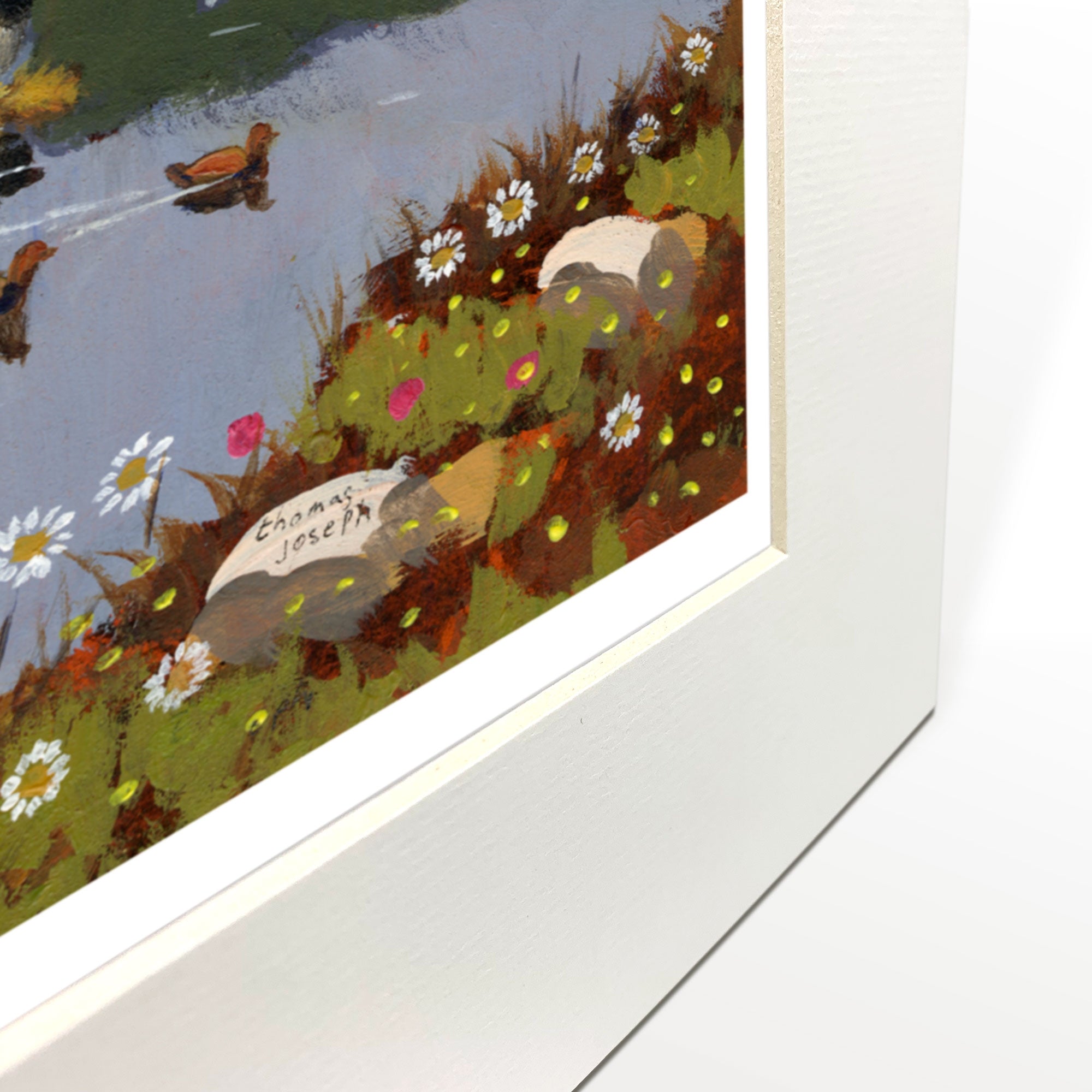 Isle Of Ewe Mounted Print