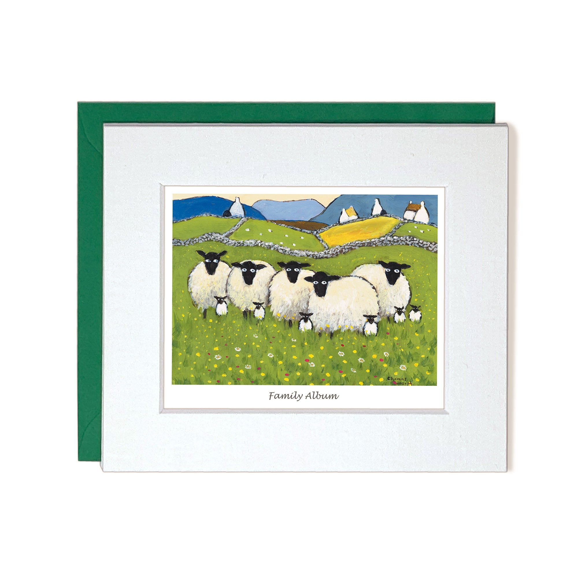 Greetings Card sheep with lambs in the countryside