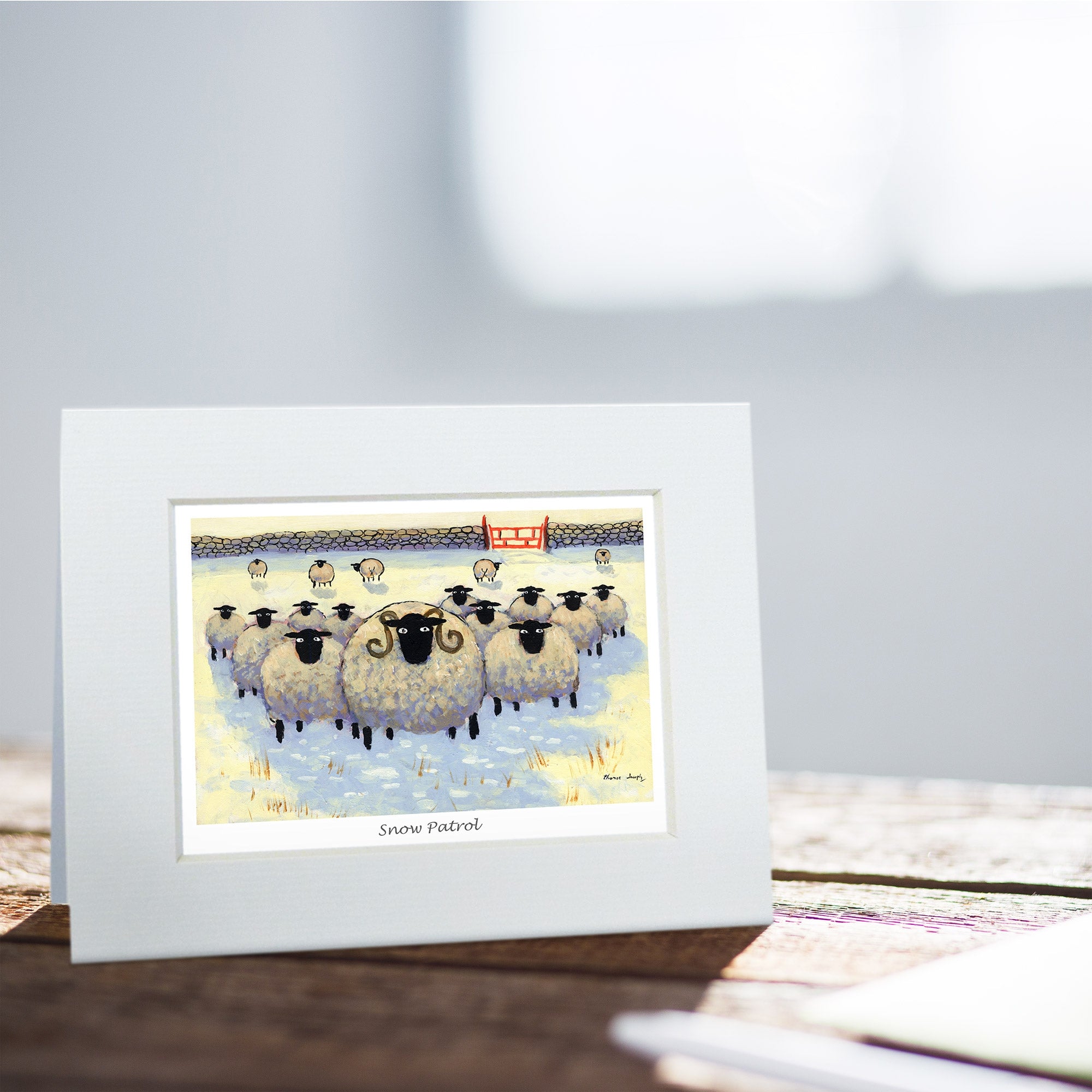 Snow Patrol Greeting Card