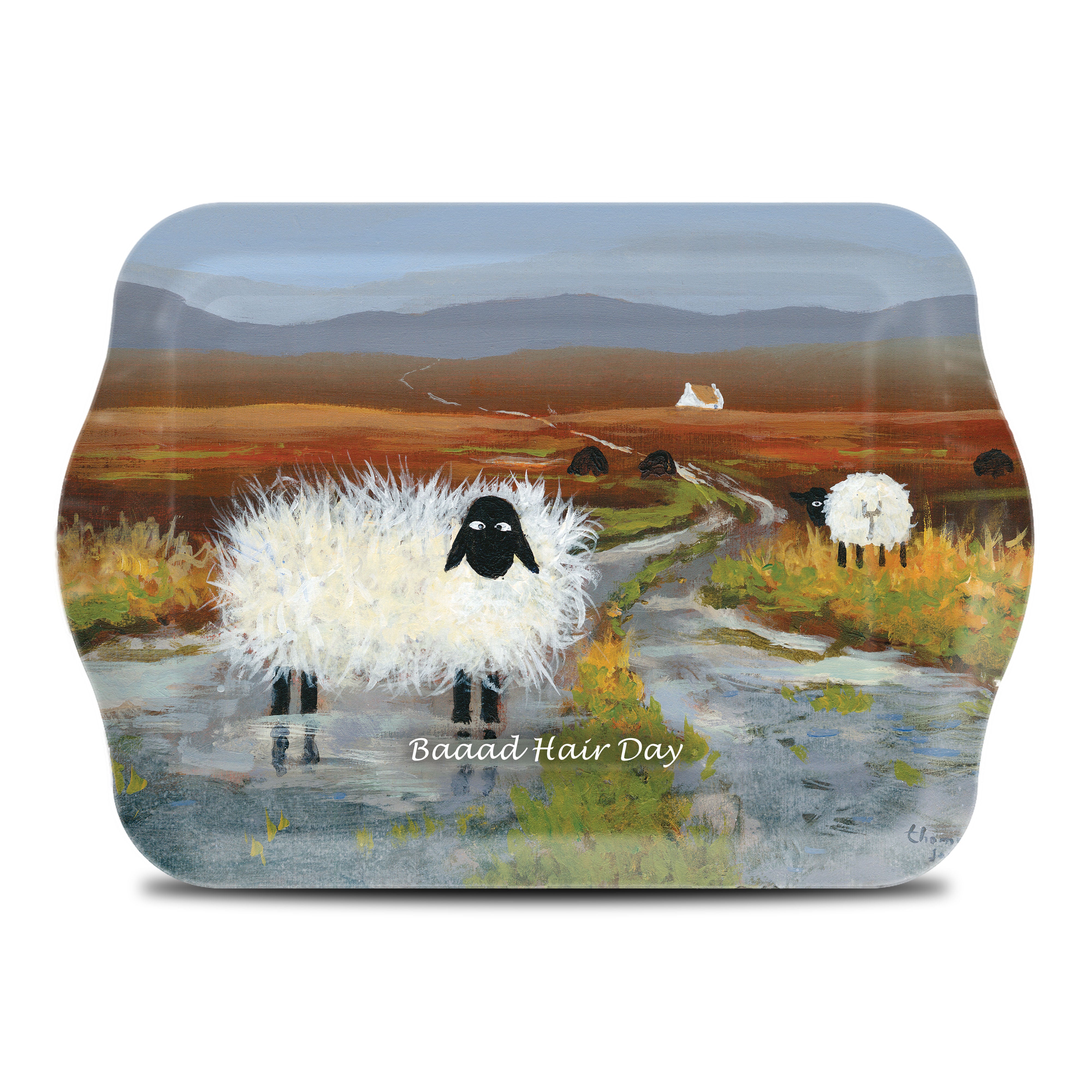 Baaad Hair Day Scatter Tray