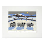Painting sheep huddled in pairs to keep warm
