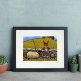 Have I Got N-ewes For You Mounted Print