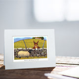 Have I Got News For Ewe Greeting Card