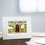 Ewe're A Big Softee Greeting Card