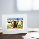 Ewe're A Big Softee Greeting Card