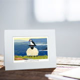 Puffin Compares To Ewe Greeting Card